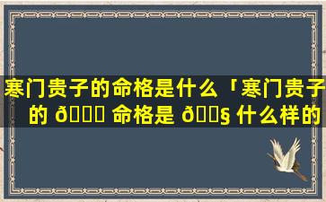 寒门贵子的命格是什么「寒门贵子的 🐛 命格是 🐧 什么样的」